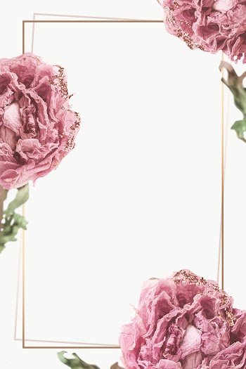 Dried pink peony flower on a gold frame design element | Free  transparent png - 2336459