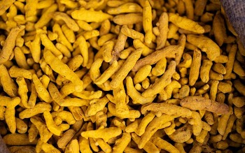 Dried Turmeric Roots for Culinary and Medicinal Use
