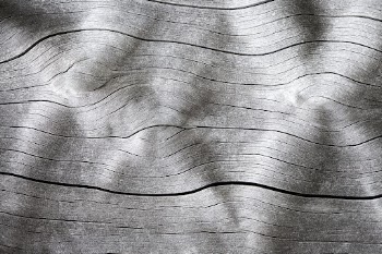 Drift wood texture background, close | Free Photo - rawpixel