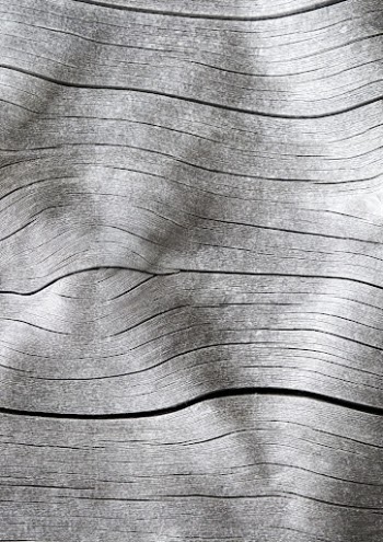 Drift wood texture background, close | Free Photo - rawpixel