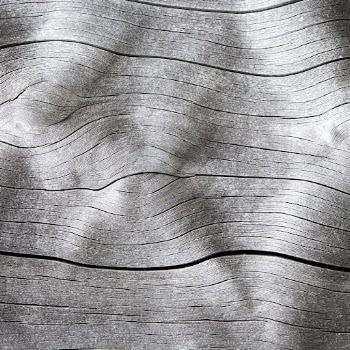Drift wood texture, black background, | Free Photo - rawpixel