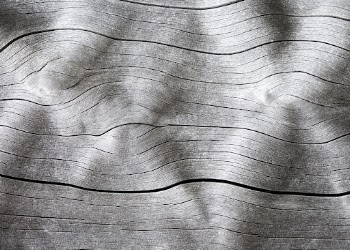 Drift wood texture close up background, | Free Photo - rawpixel