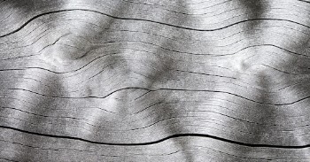 Drift wood texture close up background, | Free Photo - rawpixel