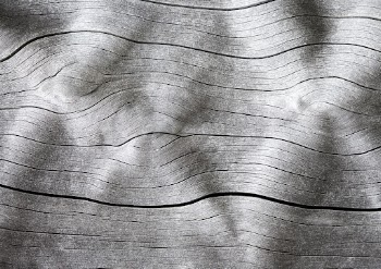 Drift wood texture close up background, | Free Photo - rawpixel