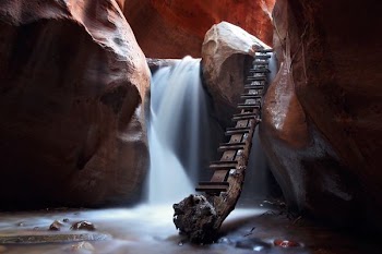driftwood inside cave