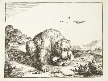 Drinking bear by Marcus de | Free Photo - rawpixel