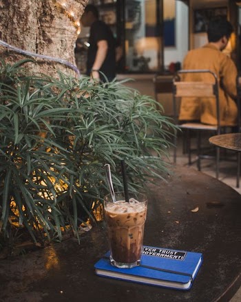 drinking glass on top of the book near the plant