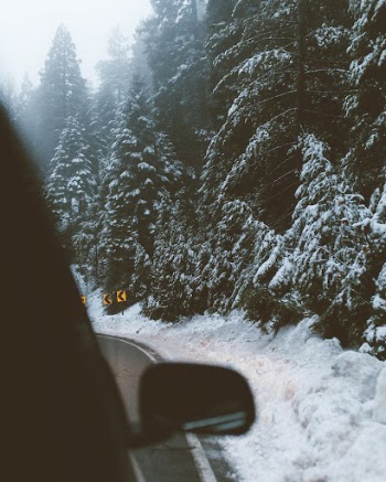 Driving around a turn on a forest | Free Photo - rawpixel
