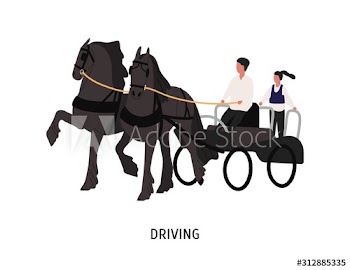 Driving horse carriage flat vector illustration