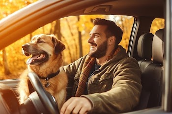 Driving vehicle adult dog. AI | Free Photo - rawpixel