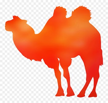 Dromedary Blanket Towel Bactrian camel Bed -  
