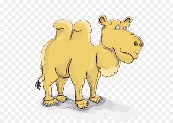 Dromedary, Mammal, Dog, Camel, Camelid PNG