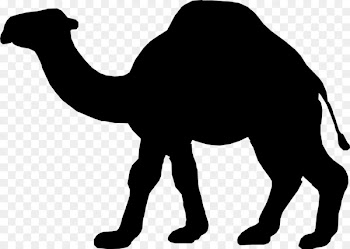 Dromedary, Silhouette, Desert, Camel, Mammal PNG