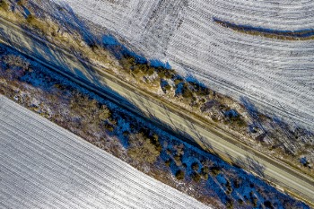 Drone Shot Of Blue Colored Trees