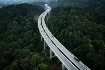 Drone Shot of Cars on a Road Between Green Trees · Free Stock Photo
