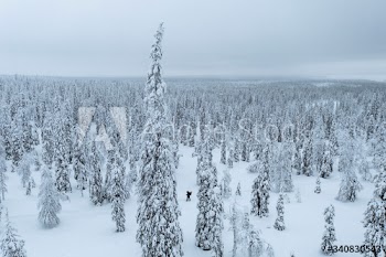 Drone shot of people trekking in a snowy forest in Lapland, Finland