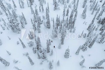 Drone shot of people trekking in a snowy forest in Lapland, Finland