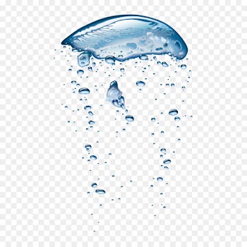Drop Bubble Water Eau hydrogxe9nxe9e - Vector water drops 