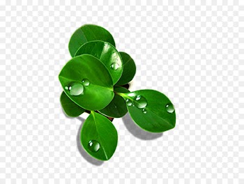 Drop Leaf Green - Green leaves 