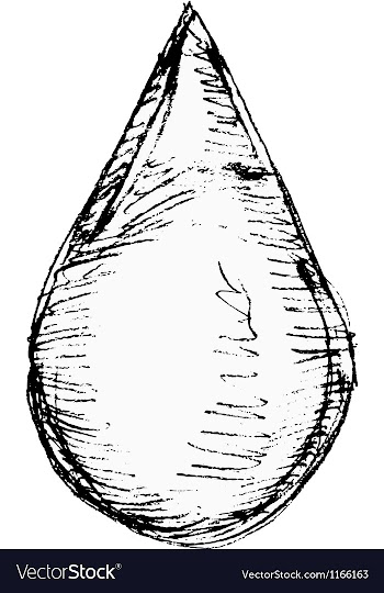 Drop of blood vector image
