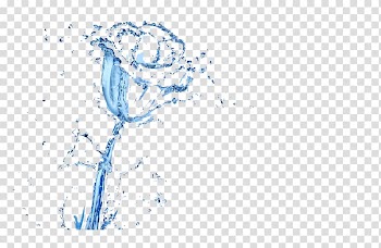 Drop Rose, Water drops roses transparent background PNG clipart