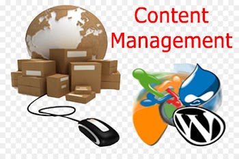 Drop shipping Business Company Service Mail order - business 