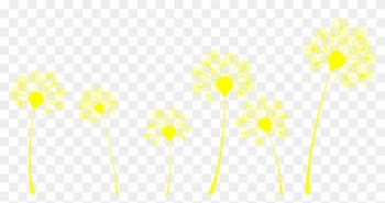Drop Us A Line - Dandelions Plantable Wedding Invitations