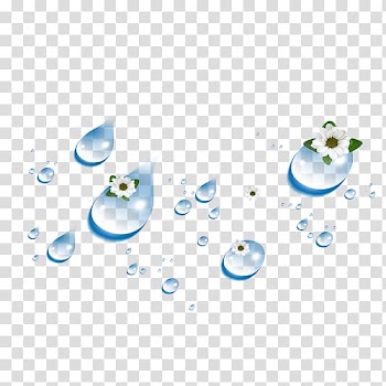Drop Water , Beautiful flowers water droplets transparent background PNG clipart