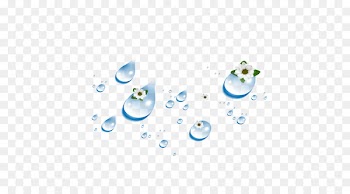 Drop Water Download - Beautiful flowers water droplets 