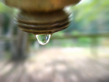 droplet.jpg