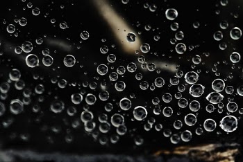 Drops of Water