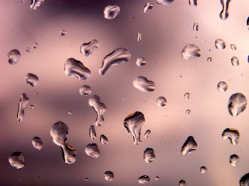 dropsCN9946.jpg