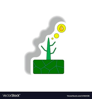 Drought and dead tree vector image