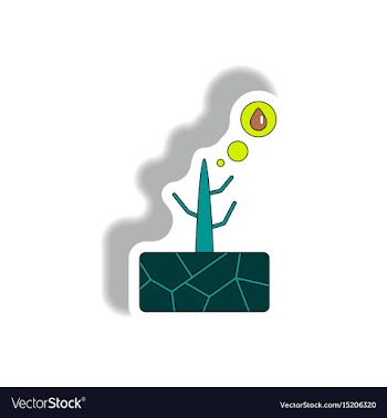 Drought and dead tree vector image