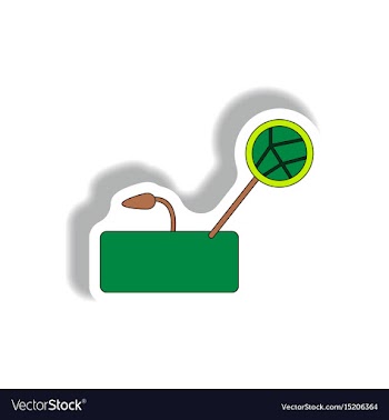 Drought and plantdrought effects on plants vector image