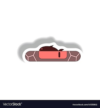 Drought effects on fish and nature vector image