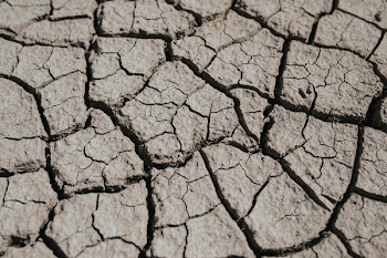 Drought In The Summer