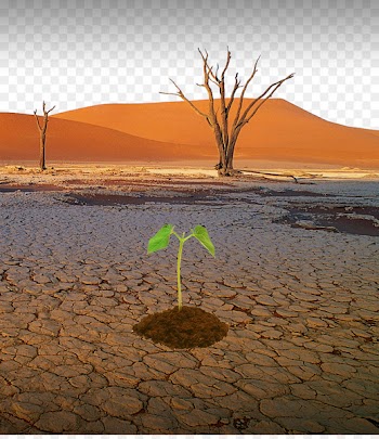 Drought Natural disaster Water Desertification - Lack of water resources 