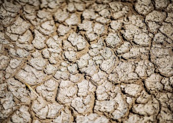 Drought texture background, close up design | Free Photo - rawpixel