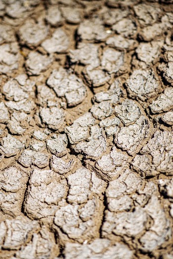 Drought texture close up background, | Free Photo - rawpixel