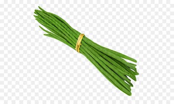 Drumstick Tree, Drum Sticks Brushes, Graphic Design, Vegetable, Welsh Onion PNG