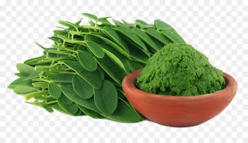 Drumstick tree Nutrient Dietary supplement Food - moringa 