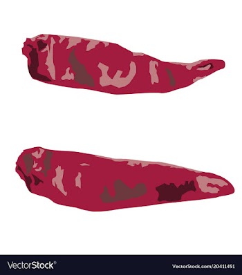 Dry chilli vector image