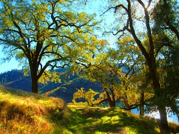 dry_creek_valley.jpg