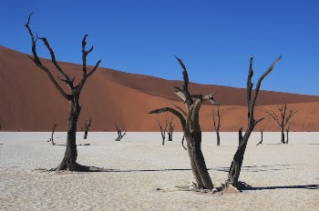 Dry deserted field background. Free | Free Photo - rawpixel