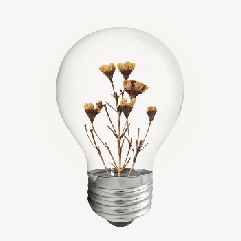 Dry flower bulb sticker, Autumn | Free PSD - rawpixel