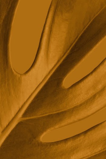 Dry hot desert with yellow sand · Free Stock Photo