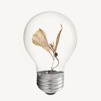 Dry leaf bulb sticker, Autumn | Free PSD - rawpixel