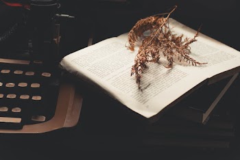 Dry Leaf On Book