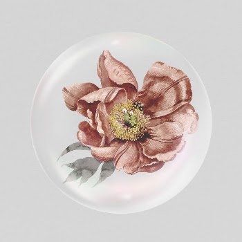 Dry pink flower sticker, Autumn | Free PSD - rawpixel